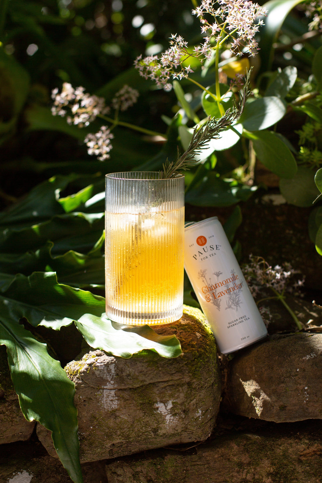 Ginger Twist Mocktail
