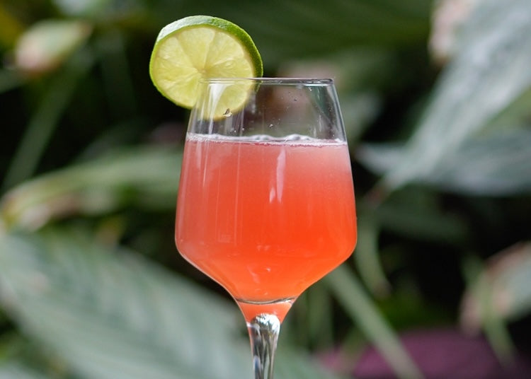 Rhubarb & Hibiscus Gin Fizz