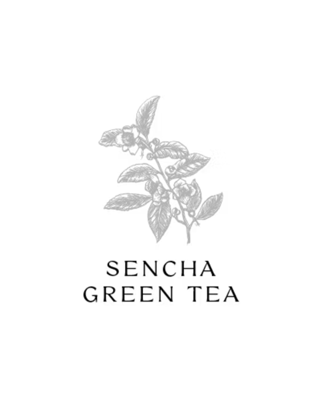 Sencha Green Tea