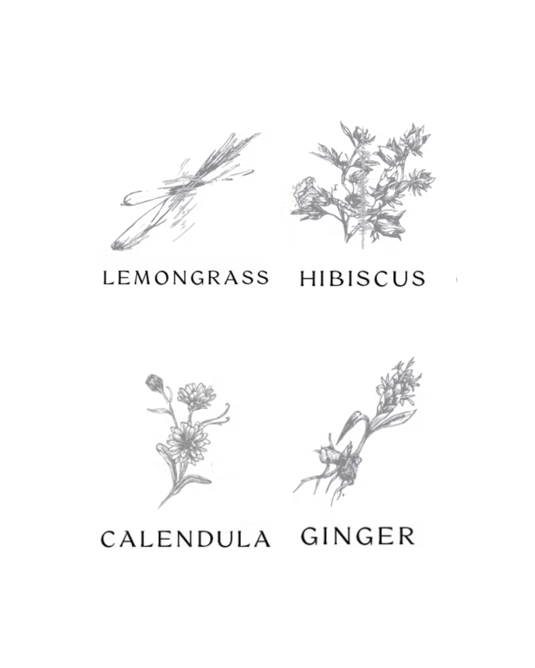 Hibiscus & Ginger
