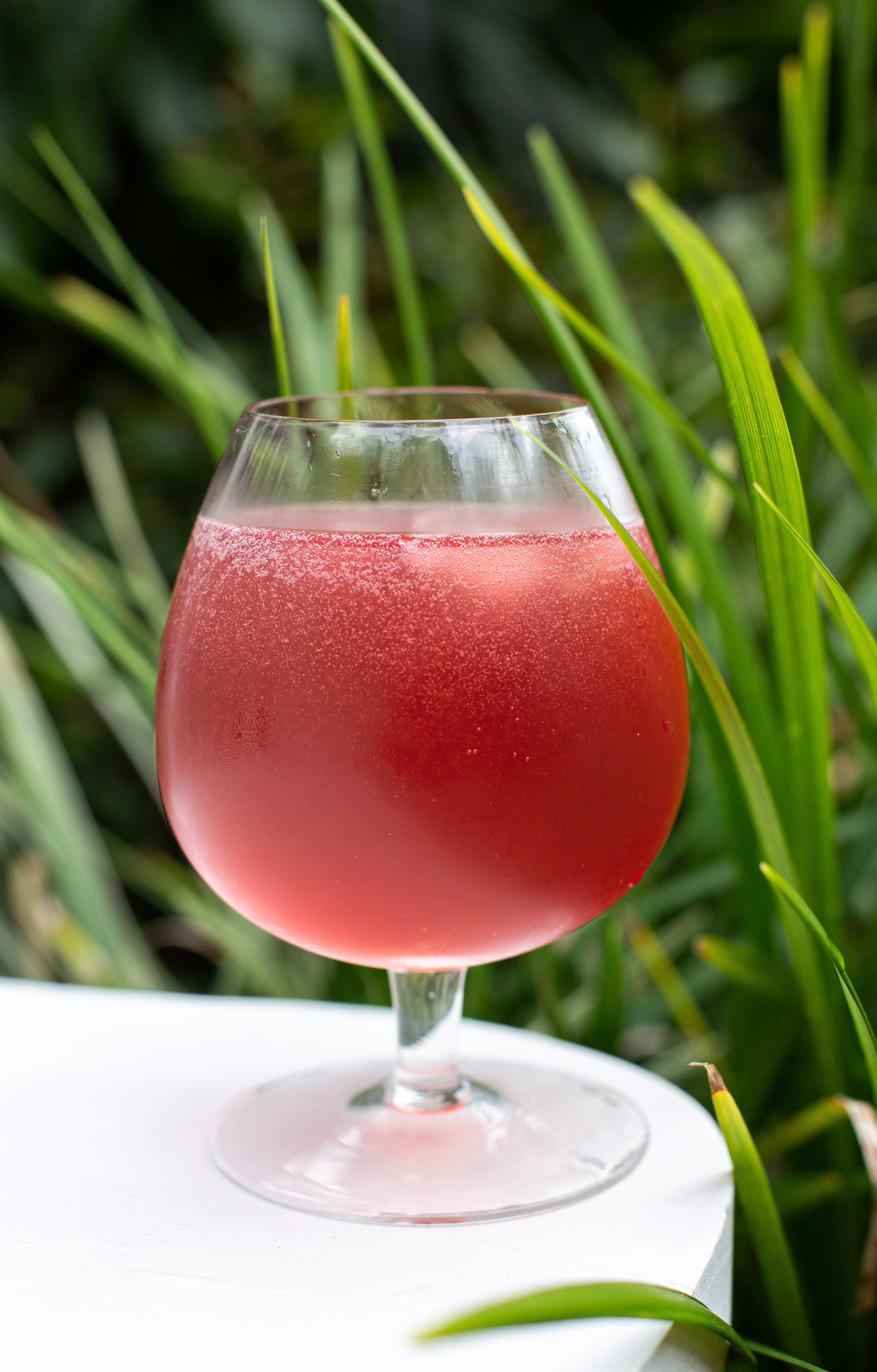 Hibiscus & Ginger