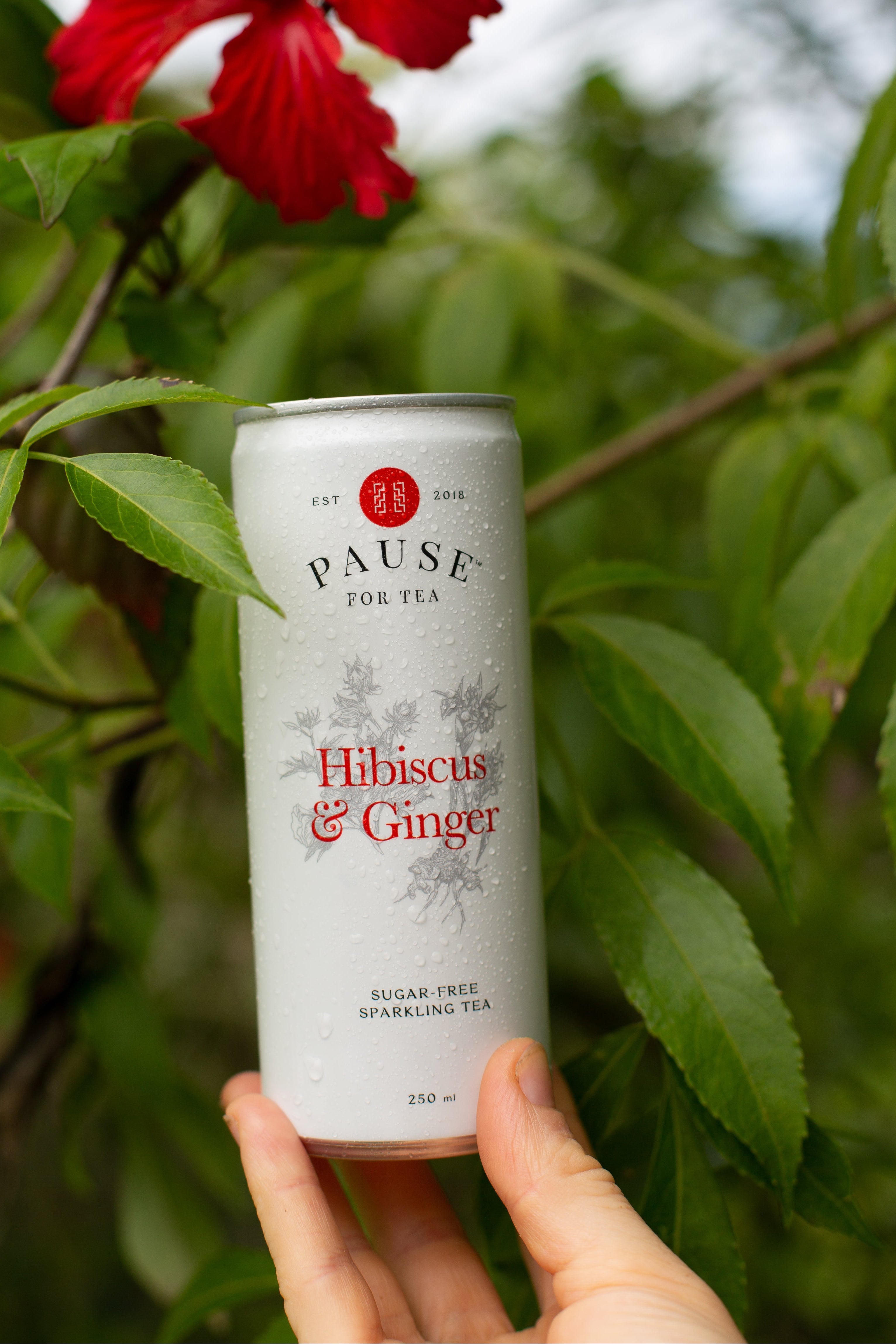 Hibiscus & Ginger