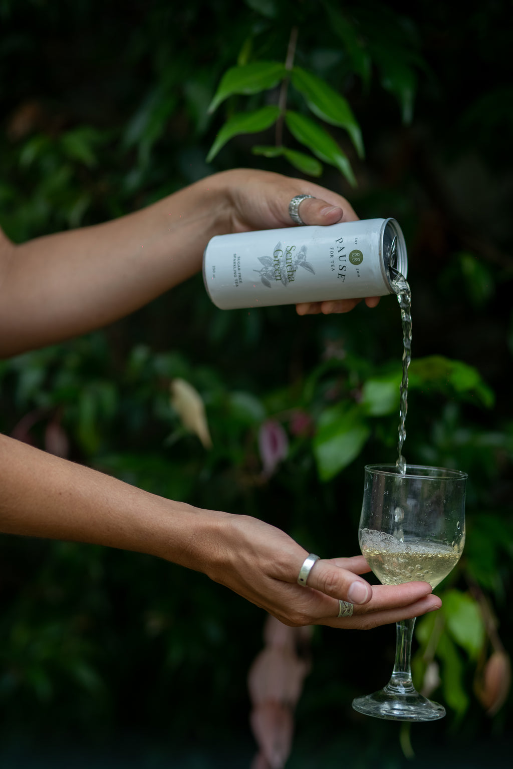 Sencha Green Tea